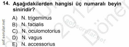 14. soru: Aşağıdakilerden hangisi üç numaralı beyin siniridir? A) N. trigeminus B) / N. facialis C) N. oculomotorius D) N. vagu…