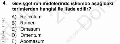 4. soru: Gevişgetiren midelerinde işkembe aşağıdaki terimlerden hangisi ile ifade edilir? A) Reticulum B) Rumen C) Omasum aof.…