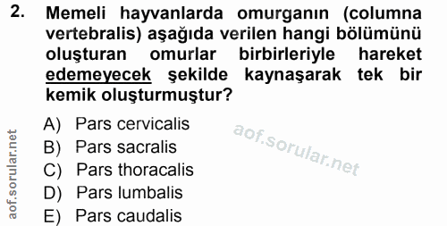 2. soru: Memeli hayvanlarda omurganın (columna vertebralis) aşağıda verilen hangi bölümünü oluşturan omurlar birbirleriyle har…
