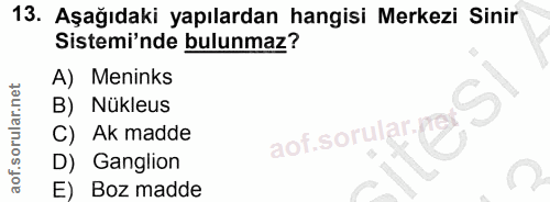 13. soru: Aşağıdaki yapılardan hangisi Merkezi Sinir Sistemi'nde bulunmaz? A) Meninks B) Nükleus C) Ak madde D) Ganglion E) Boz…
