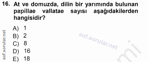 16. soru: At ve domuzda, dilin bir yarımında bulunan papillae vallatae sayısı aşağıdakilerden hangisidir? A) 1 B) 2 C) 8 D) 16…