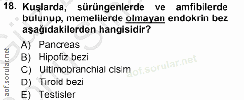 18. soru: Kuşlarda, sürüngenlerde ve amfibilerde bulunup, memelilerde olmayan endokrin bez aşağıdakilerden hangisidir? A) Pancr…