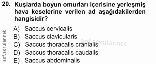20. soru: Kuşlarda boyun omurları içerisine yerleşmiş hava keselerine verilen ad aşağıdakilerden hangisidir? A) Saccus cervical…