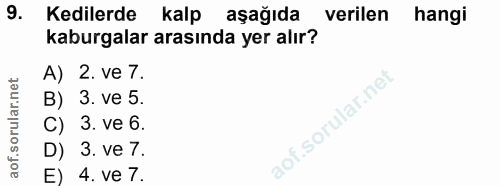 9. soru: Kedilerde kalp aşağıda verilen hangi kaburgalar arasında yer alır? A) 2. ve 7. B) 3. ve 5. C) 3. ve 6. D) 3. Ve 7. ao…
