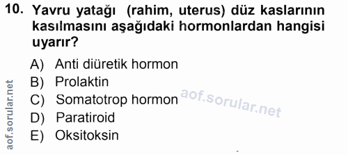 10. soru: Yavru yatağı (rahim, uterus) düz kaslarının kasılmasını aşağıdaki hormonlardan hangisi uyarır? A) Anti diüretik hormo…