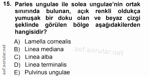 15. soru: Paries ungulae ile solea ungulae'nin ortak sınırında bulunan, açık renkli oldukça yumuşak bir doku olan ve beyaz çizg…