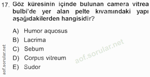 17. soru: Göz küresinin içinde bulunan camera vitrea bulbi'de yer alan pelte kıvamındaki yapı aşağıdakilerden hangisidir? A) Hu…