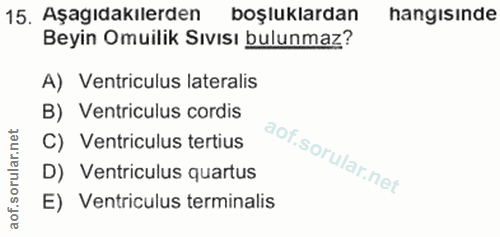 15. soru: Aşagıdakılerden boşluklardan hangisinde Beyin Omuilik Sıvısı bulunmaz? A) Ventriculus lateralis B) Ventriculus cordis…