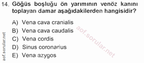 14. soru: Göğüs boşluğu ön yarımının venöz kanını toplayan damar aşağıdakilerden hangisidir? A) Vena cava cranialis B) Vena cav…
