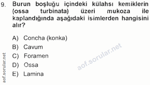 9. soru: Burun boşluğu içindeki külahsı kemiklerin (ossa turbinata) üzeri mukoza ile kaplandığında aşağıdaki isimlerden hangis…