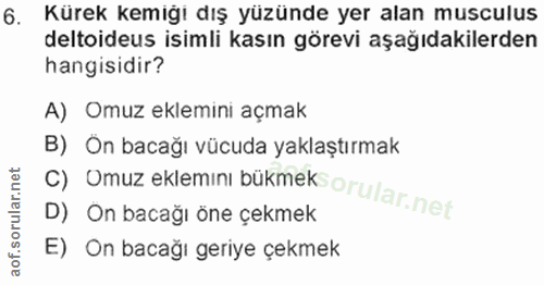 6. soru: Kürek kemiği dış yüzünde yer alan musculus deltoideus isimli kasın görevi aşağıdakilerden hangisidir? A) Omuz eklemın…