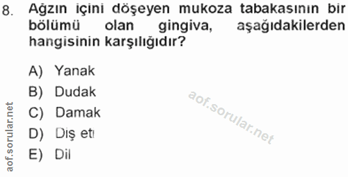 8. soru: Ağzın içini döşeyen mukoza tabakasının bir bölümü olan gingiva, aşağıdakilerden hangisinin karşılığıdır? A) Yanak B)…