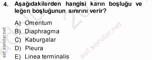 4. soru: Aşağıdakilerden hangisi karın boşluğu ve leğen boşluğunun sınırını verir? A) Omentum B) Diaphragma C) Kaburgalar aof.…