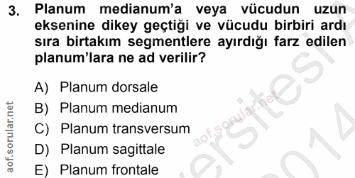 3. soru: Planum medianum'a veya vücudun uzun eksenine dikey geçtiği ve vücudu birbiri ardı sıra birtakım segmentlere ayırdığı…
