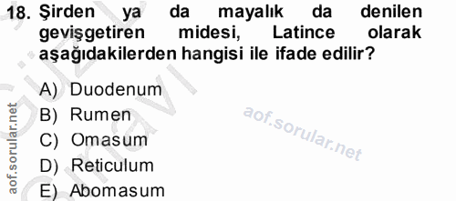 18. soru: Şirden ya da mayalık da denilen gevişgetiren midesi, Latince olarak aşağıdakilerden hangisi ile ifade edilir? A) Duod…