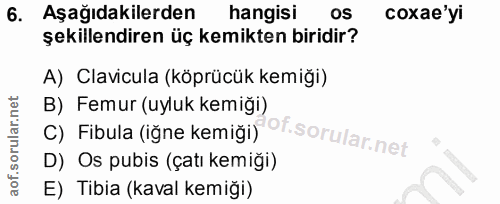 6. soru: Aşağıdakilerden hangisi OS coxae yi şekillendiren üç kemikten biridir? A) Clavicula (köprücük kemiği) B) Femur (uyluk…