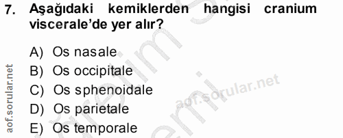 7. soru: Aşağıdaki kemiklerden hangisi cranium viscerale'de yer alır? A) Os nasale B) Os occipitale ular.net C) Os sphenoidale…