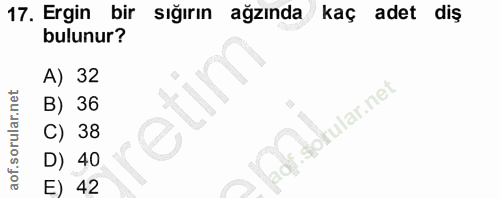 17. soru: Ergin bir sığırın ağzında kaç adet diş bulunur? A) 32 B) 36 sokular.net C) 38 D) 40 42