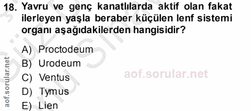 18. soru: Yavru ve genç kanatlılarda aktif olan fakat ilerleyen yaşla beraber küçülen lenf sistemi organı aşağıdakilerden hangi…
