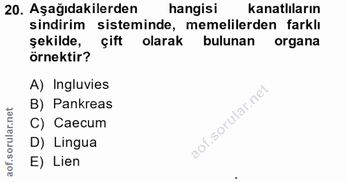 20. soru: Aşağıdakilerden hangisı kanatliların sindirim sisteminde, memelilerden farklı şekilde, çift olarak bulunan organa örn…