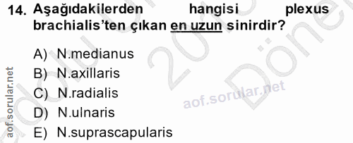 14. soru: Aşağıdakilerden hangisi plexus brachialis'ten çıkan en uzun sinirdir? A) N.medianus B) N.axillaris C) N.radialis aof.…