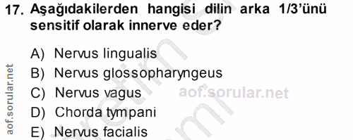 17. soru: Aşağıdakilerden hangisi dilin arka 1/3'ünü sensitif olarak innerve eder? A) Nervus lingualis B) Nervus glossopharynge…
