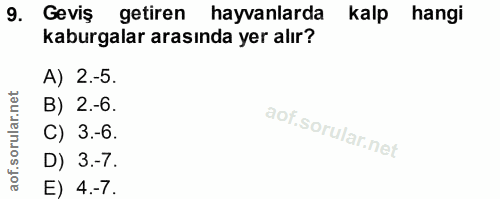 9. soru: Geviş getiren hayvanlarda kalp hangi kaburgalar arasında yer alır? A) 2.-5. B) 2.-6. C) 3.-6. D) 3.-7. E) 4.-7.