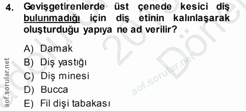 4. soru: Gevişgetirenlerde üst çenede kesici diş bulunmadığı için diş etinin kalınlaşarak oluşturduğu yapıya ne ad verilir? A)…