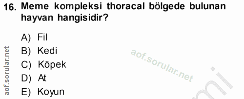 16. soru: Meme kompleksi horacal bölgede bulunan hayvan hangisidir? A) Fil B) Kedi C) Köpek D) At E) Koyun