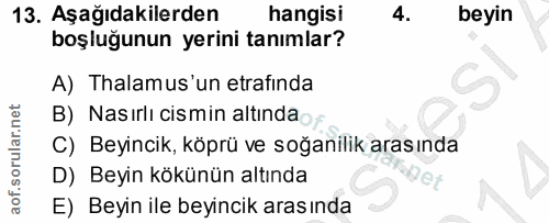 13. soru: Aşağıdakilerden hangisi 4. beyin boşluğunun yerini tanımlar? A) Thalamus'un etrafinda B) Nasırlı cismin altında C) Be…
