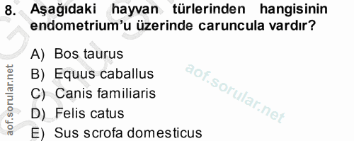 8. soru: Aşağıdaki hayvan türlerinden hangisinin endometrium'u üzerinde caruncula vardır? A) Bos taurus B) Equus caballus C) C…