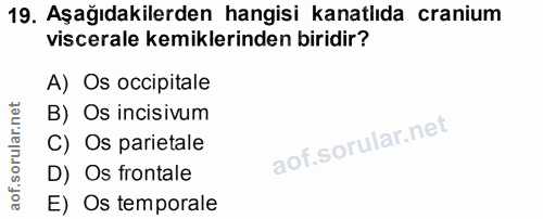 19. soru: Aşağıdakilerden hangisi kanatlıda cranium viscerale kemiklerinden biridir? A) Os occipitale B) Os incisivum C) Os par…