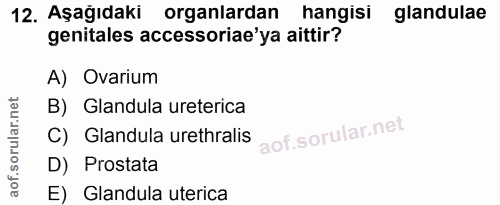 12. soru: Aşağıdaki organlardan hangisi glandulae genitales accessoriae'ya aittir? A) Ovarium B) Glandula ureterica C) Glandula…