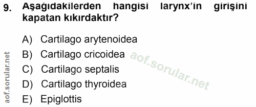 9. soru: Aşağıdakilerden hangisi larynx'in girişini kapatan kıkırdaktır? A) Cartilago arytenoidea D) Cartilago thyroidea C) Ca…