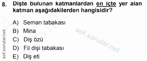 8. soru: Dişte bulunan katmanlardan en içte yer alan katman aşağıdakilerden hangisidir? A) Seman tabakası B) Mina C) Diş özü D…