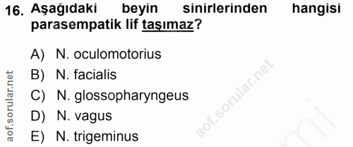 16. soru: Aşağıdaki beyin sinirlerinden hangisi parasempatik lif taşımaz? A) N. oculomotorius B) N. facialis sorular.ne C) N. g…