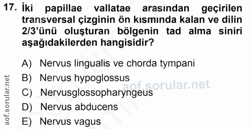 17. soru: İki papillae vallatae arasından geçirilen transversal çizginin ön kısmında kalan ve dilin 2/3'ünü oluşturan bölgenin…