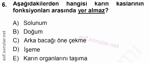 6. soru: Aşağıdakilerden hangisi karın kaslarının fonksiyonları arasında yer almaz? A) Solunum B) Doğum C) Arka bacağı öne çek…