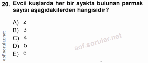 20. soru: Evcil kuşlarda her bir ayakta bulunan parmak sayısı aşağıdakilerden hangisidir? A) 2 B) 3 C) 4 D) 5 E) 6