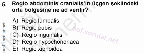5. soru: Regio abdominis cranialis'in üçgen şeklindeki orta bölgesine ne ad verilir? A) Regio lumbalis B) Regio pubis C) Regio…