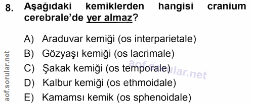 8. soru: Aşağıdaki kemiklerden hangisi cranium cerebrale'de yer almaz? A) Araduvar kemiği (os interparietale) B) Gözyaşı kemiğ…