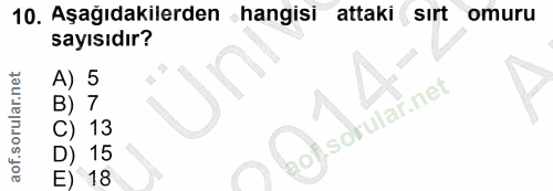 10. soru: Aşağıdakilerden hangisi attaki sırt omuru sayısıdır? 18 3 5 of,