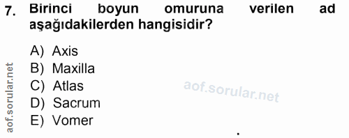 7. soru: Birinci boyun omuruna verilen ad aşağıdakilerden hangisidir? A) Axis B) Maxilla C) Atlas D) Sacrum E) Vomer