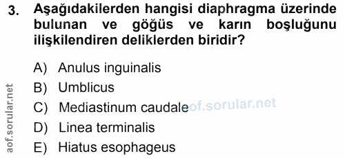 3. soru: Aşağıdakilerden hangisi diaphragma üzerinde bulunan ve göğüs ve karın boşluğunu ilişkilendiren deliklerden biridir? A…