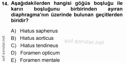 14. soru: Aşağıdakilerden hangisi göğüs boşluğu ile karın boşluğunu birbirinden ayıran diaphragma'nın üzerinde bulunan geçitler…