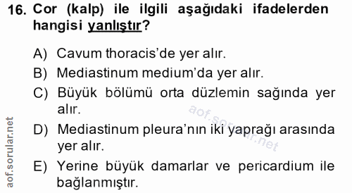 16. soru: Cor (kalp) ile ilgili aşağıdaki ifadelerden hangisi yanlıştır? A) Cavum thoracis de yer alır. B) Mediastinum medium d…