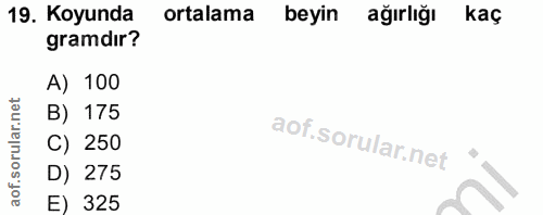 19. soru: Koyunda ortalama beyin ağırlığı kaç gramdır? A) 100 B) 175 C) 250 D) 275 E) 325