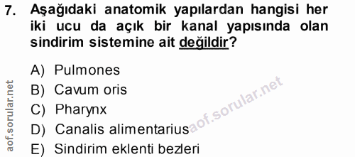 7. soru: Aşağıdaki anatomik yapılardan hangisi her iki ucu da açık bir kanal yapısında olan sindirim sistemine ait değildir? A…