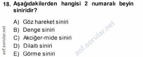 18. soru: Aşağıdakilerden hangisi 2 numaralı beyin siniridir? A) Göz hareket siniri B) Denge siniri C) Akciğer-mide siniri D) D…