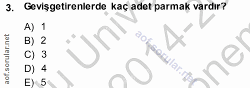 3. soru: Gevişgetirenlerde kaç adet parmak vardır? A) 1 B) 2 3 aof sorular.ret inel D) 4 E) 5